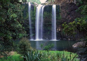 Whangarei falls